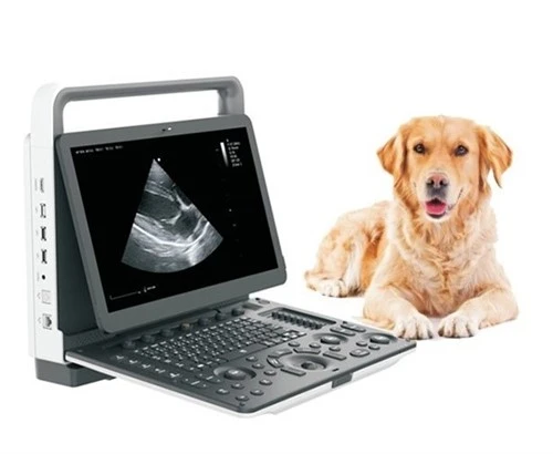 Pārnēsājama veterinārā krāsu doplera ultraskaņas sistēma