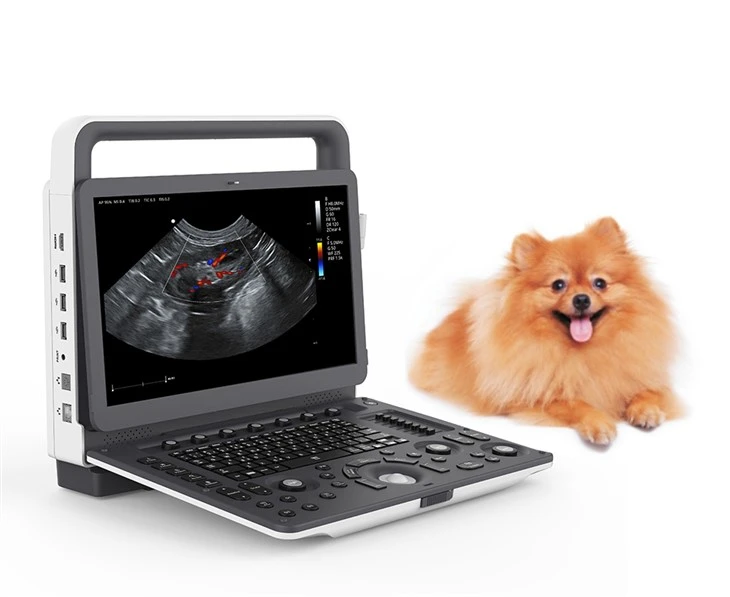 Veterinārā pārnēsājamā klasiskā krāsu Doplera ultraskaņas sistēma